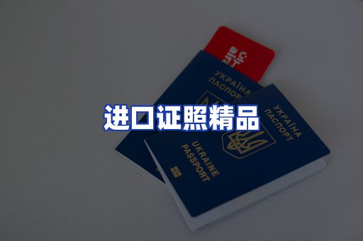 进口证件页面制证